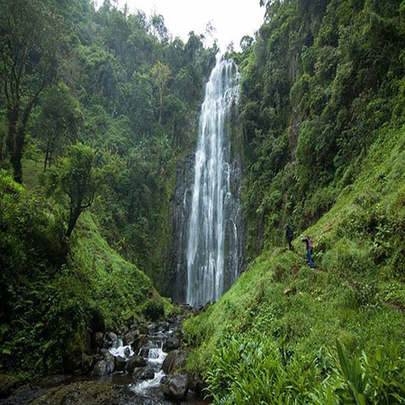 1 day Trip to Materuni waterfalls